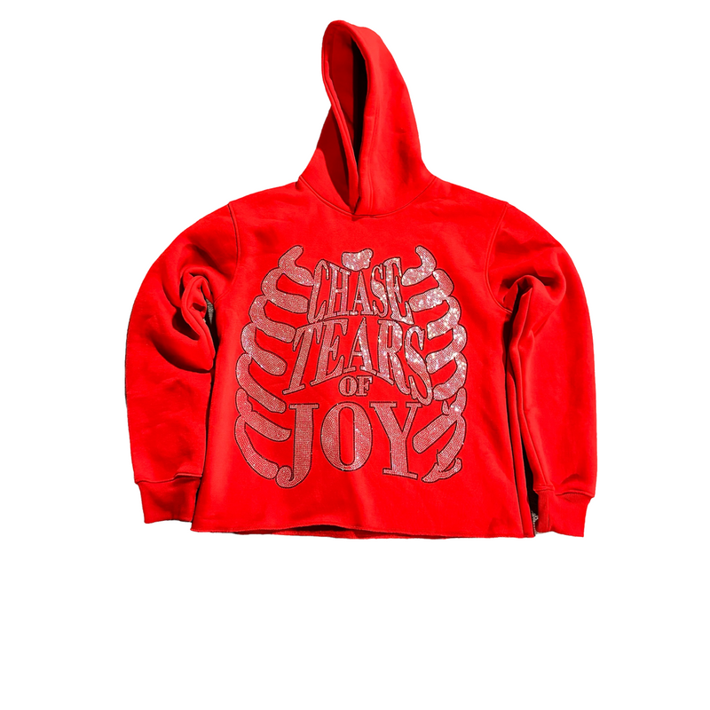 RED UNIFLY RHINESTONE HOODIE