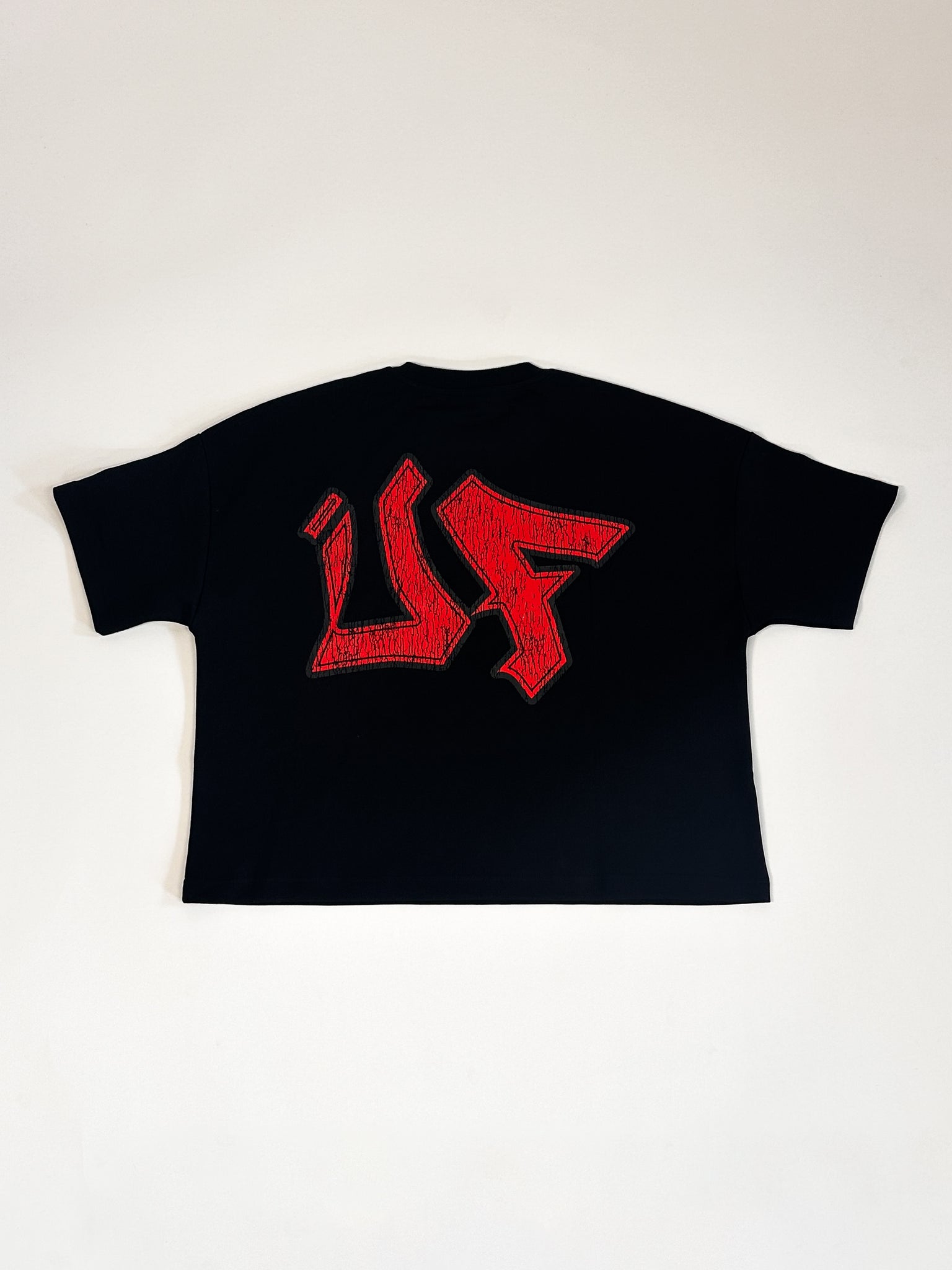 BLACK DON’T CRACK TEE-RED